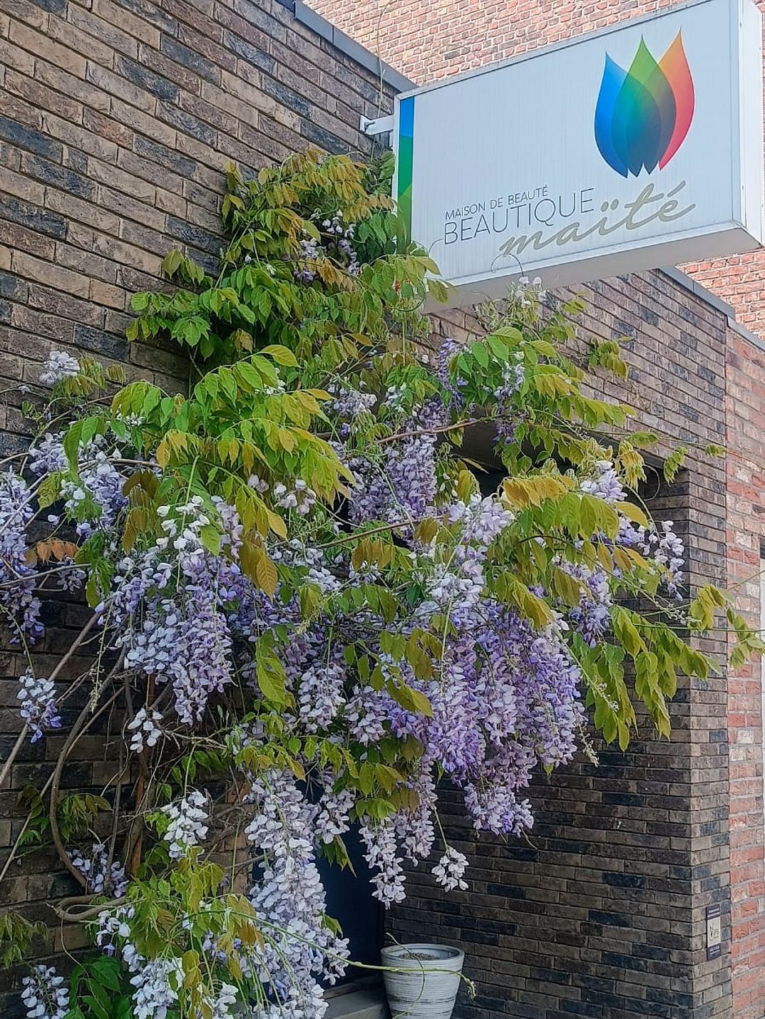 Portfolio image 30