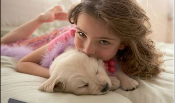 Smartdog Prilly, Prilly | Salonkee